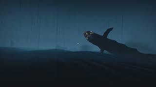 What Lives Below: Whale Battle Teaser