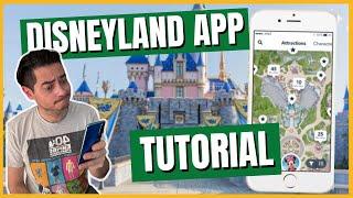 Como usar la App de Disneyland tutorial 2024