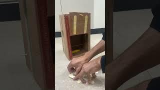 Easy homemade bird trap in 1 minute step by step #birds #shorts #shortvideo