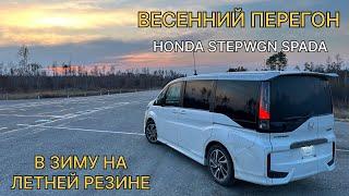 Апрельский перегон HONDA STEPWGN SPADA