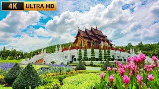 Royal Park Rajapruek  | Chiang Mai Thailand | [4K 60 FPS HDR]