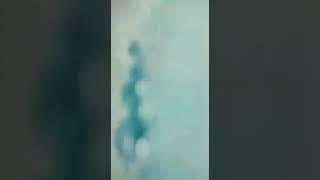 Nimbus films from Phuket with love