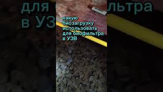 Какую биозагрузку использовать для биофильтра в УЗВ #рыба #узв #бизнесвдеревне