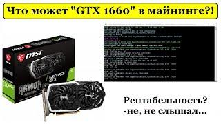 Что может GTX 1660 В майнинге? Есть ли смысл?)