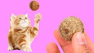 Catnip Ball