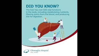 Why Liver is irreplaceable?: It does over 500 jobs that keep you healthy | Gleneagles Hospital