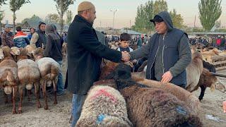 Tergachi qoʻy bozori buggungi narhlar bilan tanishing 25.10.2024yil