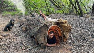 Building a Warm and Cozy Secret Shelter Deep Inside a large Tree. Bushcraft, Survival, Dugout.