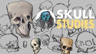 Skull Studies :: Digital Painting Process