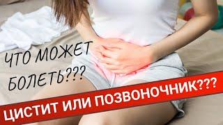 КАК ОТЛИЧИТЬ БОЛЬ В ПОЗВОНОЧНИКЕ ОТ ЦИСТИТА и что делать?