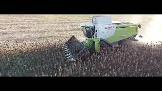 Agro - Soós Kft. Napraforgó betakarítás #sunflower #harvest