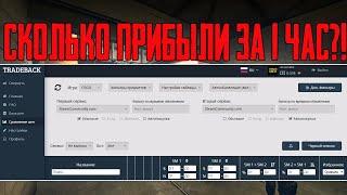 1 ЧАС В ТАБЛИЦЕ - СКОЛЬКО ПРОФИТА? СХЕМА ЗАРАБОТКА CS:GO DOTA STEAM