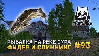 Русская рыбалка 4 #93 - Рыбалка на реке Сура. Фидер и спиннинг