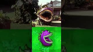 PVZ Plants in real life #plantsvszombies #funnyshorts #pvz #gaming #funnymoments