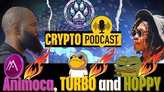 CYBER PAW PODCAST: HOPPY TURBO RACING AND ANIMOCA BRANDS