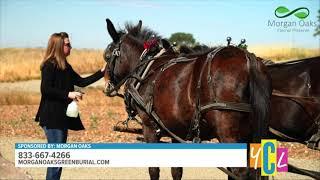 Your California Life - Morgan Oaks Eternal Preserve 7/26