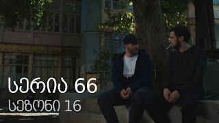 ჩემი ცოლის დაქალები - სერია 66 (სეზონი 16)