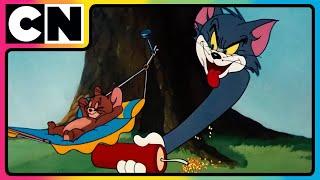 Tom & Jerry | Pranks Galore with Tom & Jerry! | Cat and mouse Cartoon | #tomandjerry | @cnindia