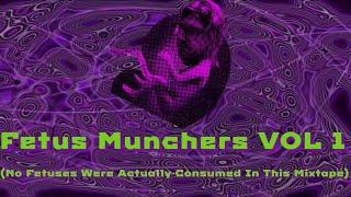 Fetus Munchers VOL 1 | Full Mixtape Explanation