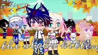 the kitty alpha//original//ruby strawberry