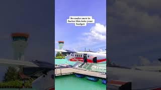 travel junkie -  Travel & Tourism