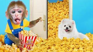 KiKi Monkey challenge shopping to make full of Popcorn house with Puppy | KUDO ANIMAL KIKI