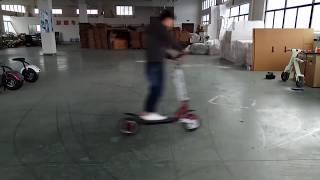 Honghao Single swing Electric scooter