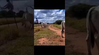 Best funny moments  #comedy #fun #reaction