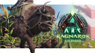 Bison - How to Tame & Abilities