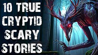 10 True Disturbing Cryptid & Inexpiable Encounter Scary Stories | Horror Stories To Fall Asleep To