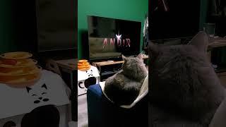 Shurik is watching Andor...
