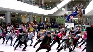 Монголын Флаш Моб шинэ түвшинд хүрлээ... Flash Mob Mongolia