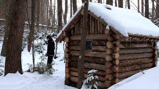 RELAXING CAMPING IN A WOODLAND CABIN. CRAFTING BIRD FEEDERS.