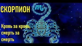 Скорпион - характеристика знака зодиака. Школа астрологии Virgo