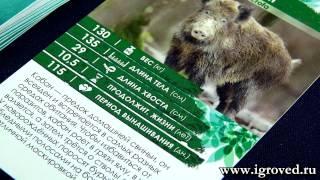 Секреты Планеты. Обзор серии настольных игр от Игроведа