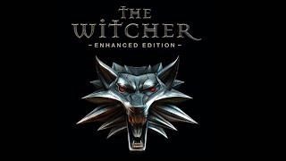 За помощью к Зигрфиду | The Witcher: Enhanced Edition #13