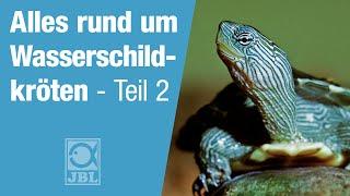 JBL TV #61 Artgerechte Haltung von Wasserschildkröten Teil 2 - Ernährung und Pflege