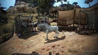 How to Awaken a T9 Dream Horse (BDO)