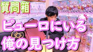 【ピューロ質問箱】俺の見つけ方　サンリオピューロランドに関して