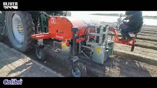 SARCHIATRICI OLIVER AGRO INTERROW WEEDING MACHINES RANGE BINEUSE HACKMACHINE BINADORA SARCHIATURA