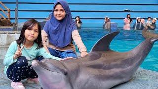 Atraksi Hewan Paling Cerdas di Samudra   | Dolphin Bay's Taman Safari II Prigen 