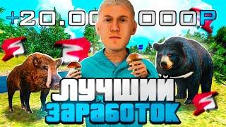 ЗАРАБОТОК 20.000.000Р в ЧАС на ГРИБАХ RODINA RP! ЭТО ИМБА? (GTA CRMP)