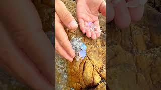 Rainbow Beach's Crystal Secrets, but beneath the sand lies a secret world of crystals.