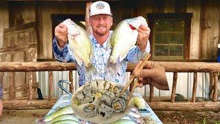 HOW TO CATCH 2 POUND CRAPPIE!! New Personal Best! Crappie SUSHI! (Catch and Cook)