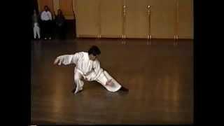 Master Kai Ying Tung performing Tai Chi Chuan traditionel ya