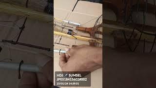 Cara pakai sangkar Jebakan Perkutut berikutnya