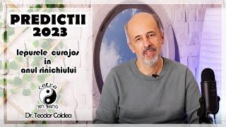 Predictii 2023 - Iepurele curajos in anul rinichiului - Dr.Teodor Coldea - Calea Yin Yang