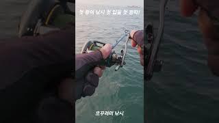 첫 광어낚시, 첫입질, 첫광따! 화성 전곡항 광어낚시~