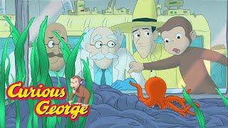 Curious George  George solves the mystery!  Kids Cartoon  Kids Movies  Videos for Kids