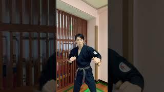 Tonfa Training | Ryukyu kobudo, Okinawa kobudo  #karate #kobudodemonstration